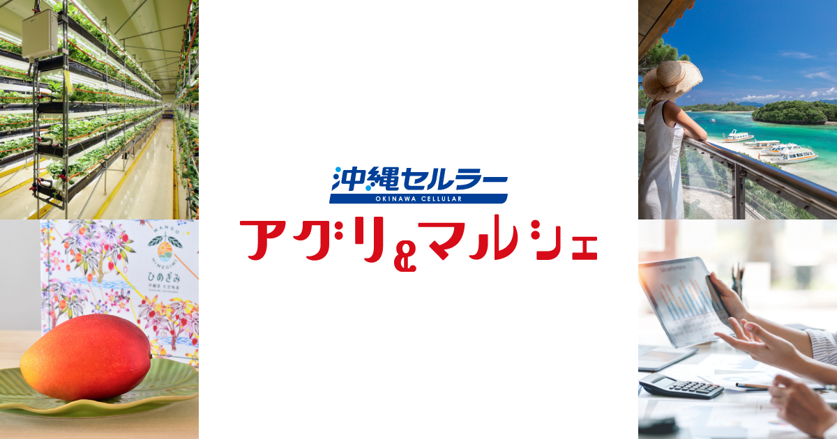 適格請求書発行事業者登録番号のお知らせ | お知らせ | 沖縄セルラー